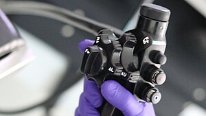 Video-Endoskopie in der Tierarztpraxis